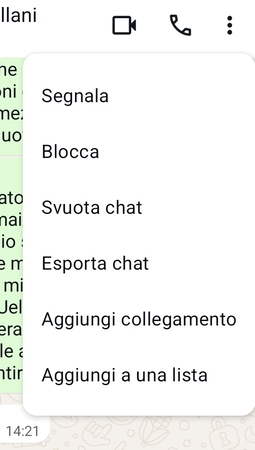 Singola chat